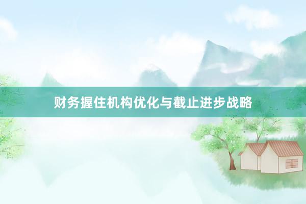 财务握住机构优化与截止进步战略